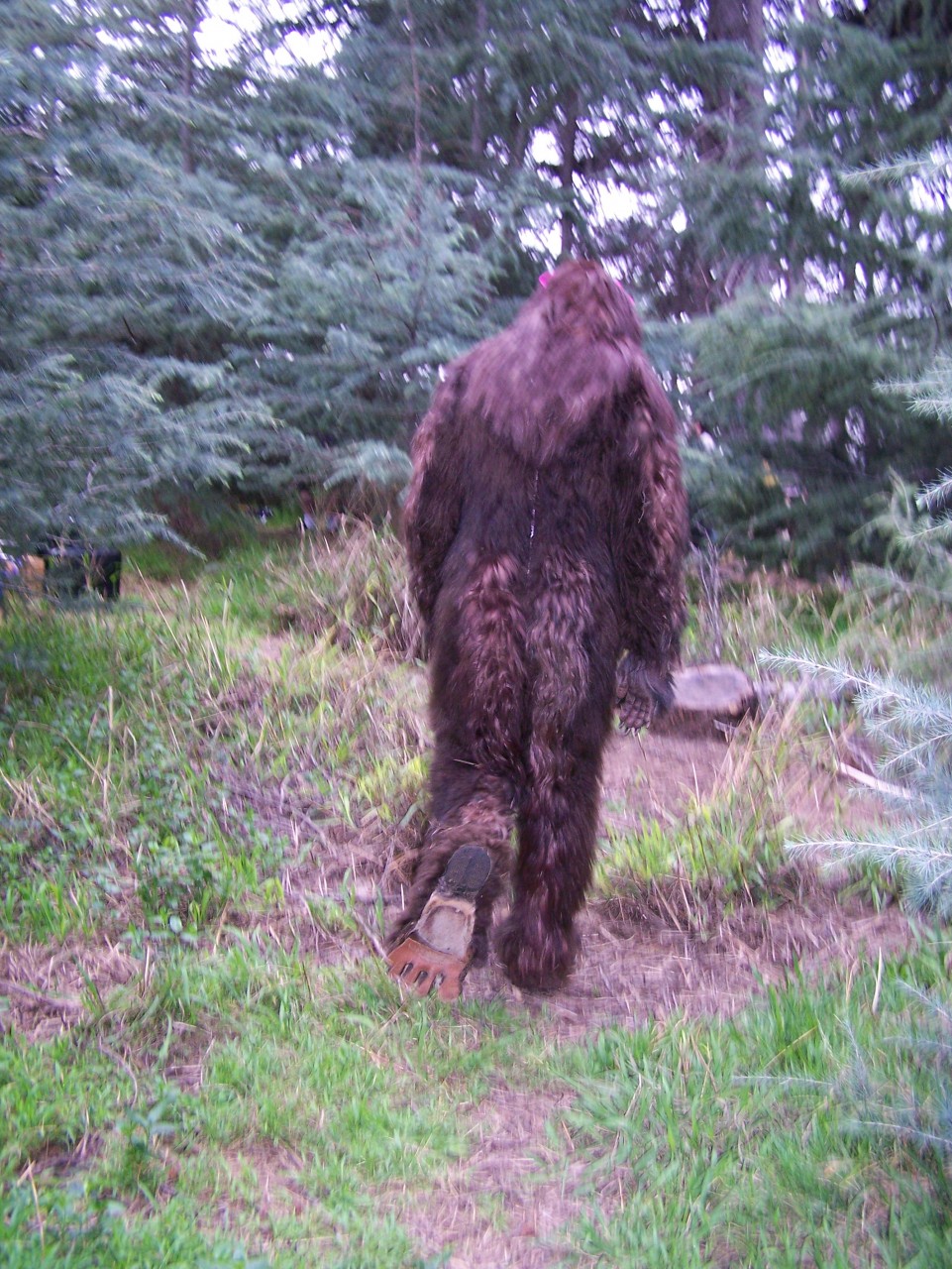 Bigfoot from short film Bigfootland, costume design by Katharine Tarkulich