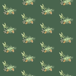 Dark green fabric with cedarwood, cloves, and sage watercolor